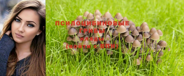 экстази Верея
